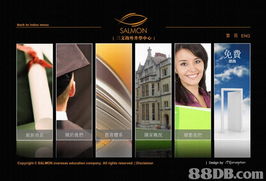 全方位专业设计服务 赋能品牌，构建卓越数字形象